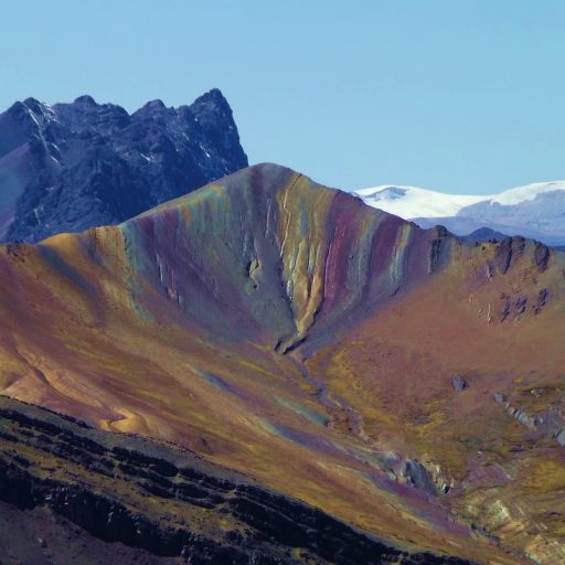 palcoyo